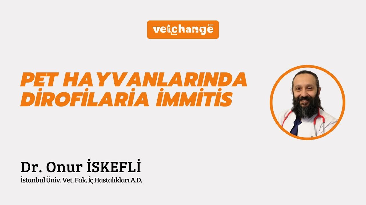 Pet Hayvanlarında Dirofilaria İmmitis ''Dr. Onur İskefli''